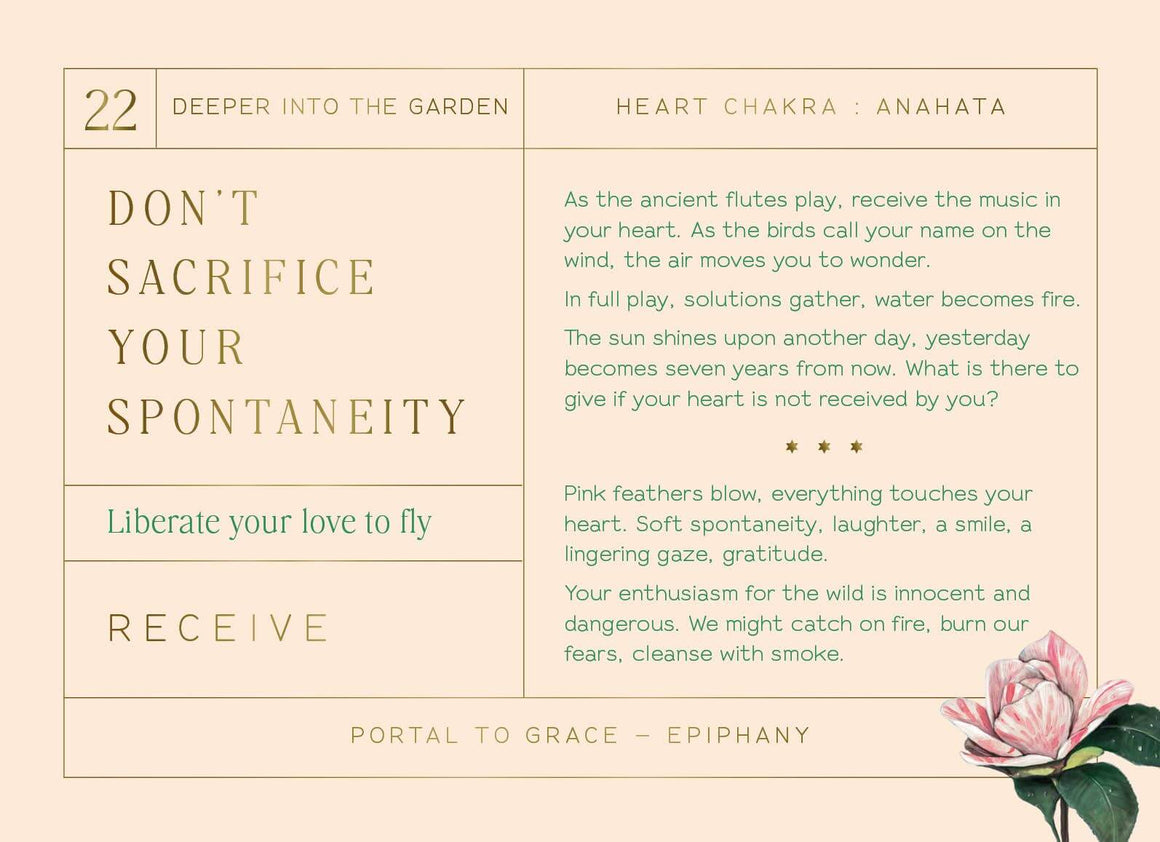 Textual content with a pink flower on a light background