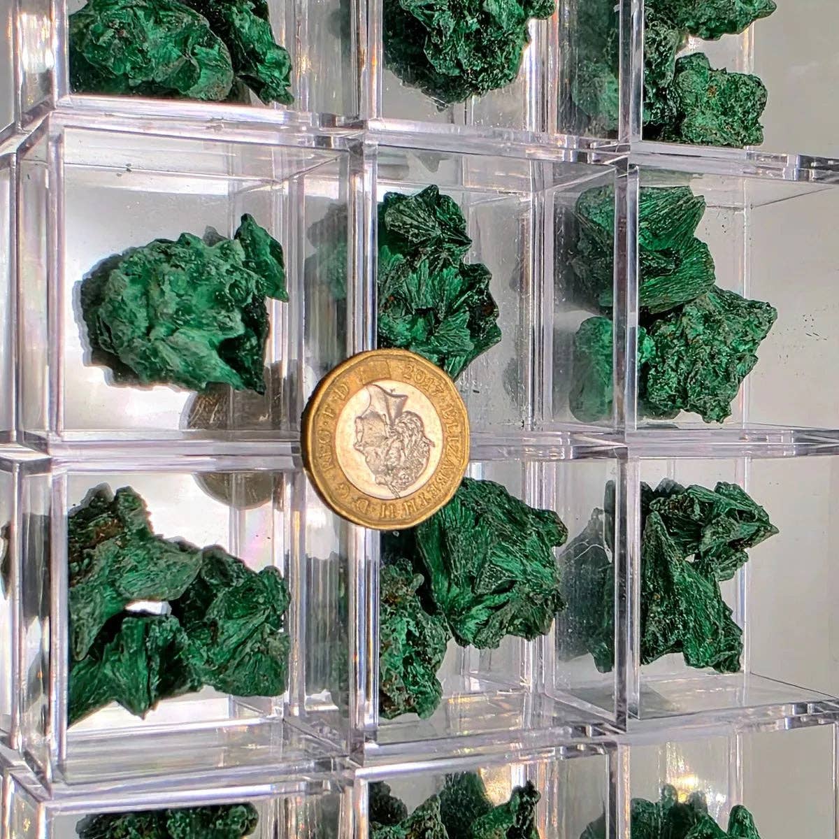 Velvet Malachite Raw In Magnifying Box showcasing emerald-green fibrous textures and crystal formations.