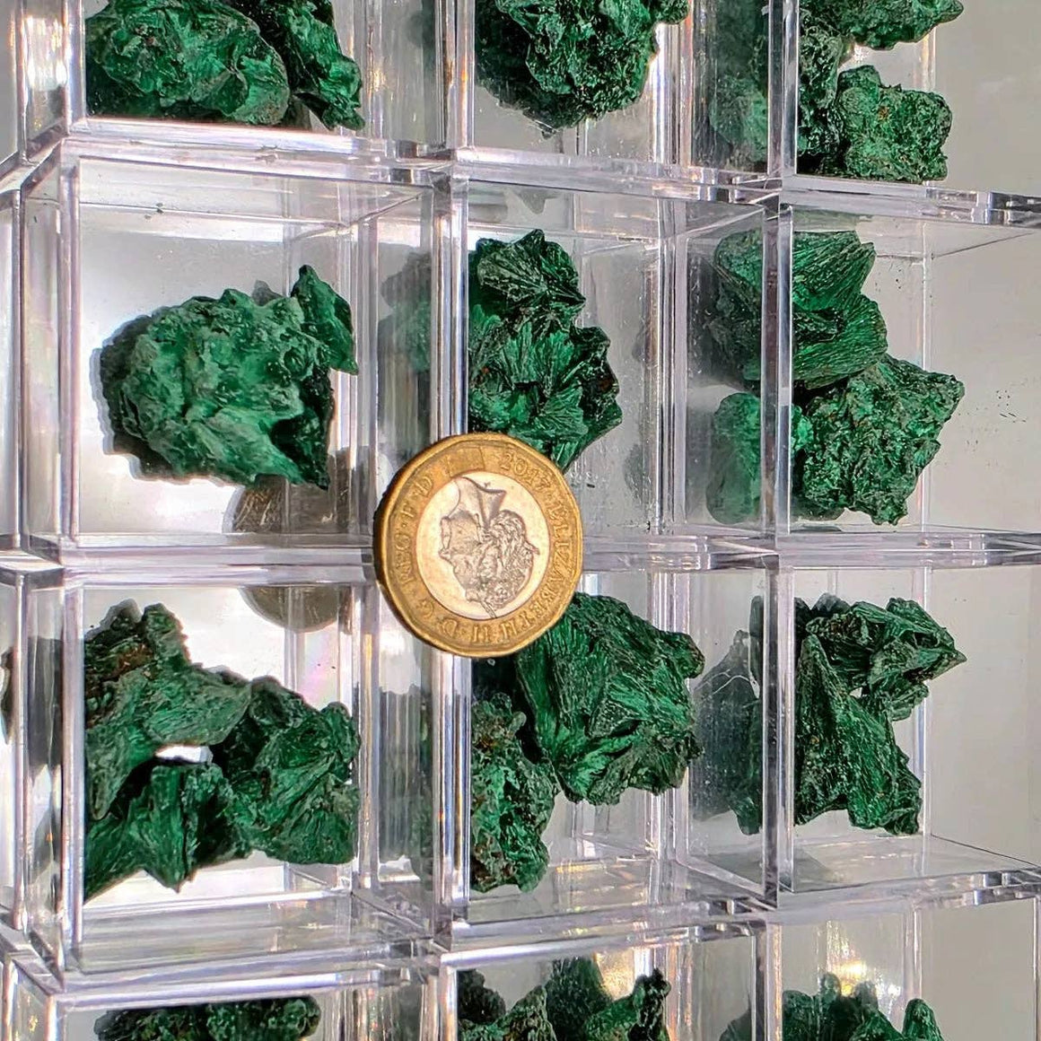 Velvet Malachite Raw In Magnifying Box showcasing emerald-green fibrous textures and crystal formations.