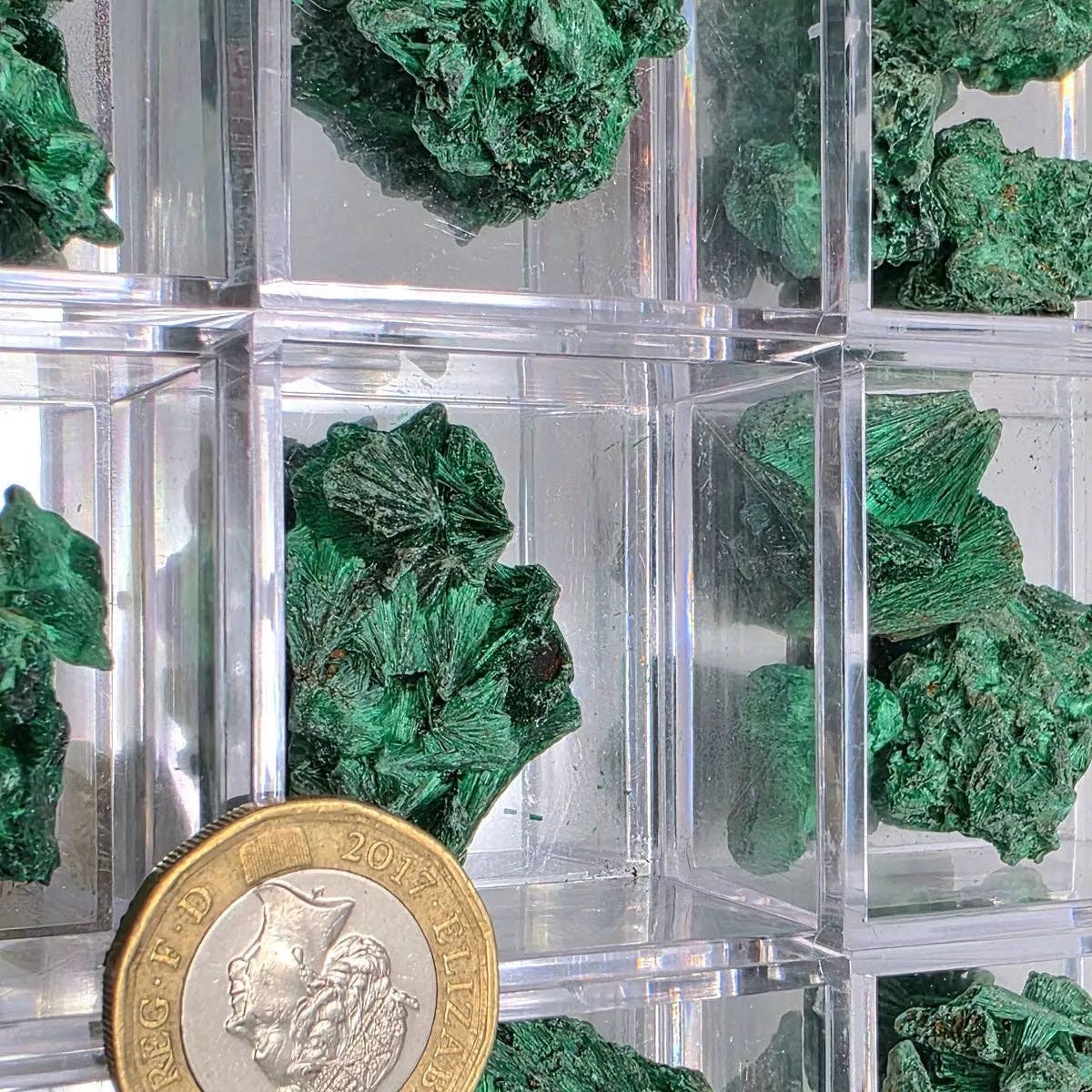 Velvet Malachite Raw In Magnifying Box showcasing vibrant green malachite pieces with a coin for scale.