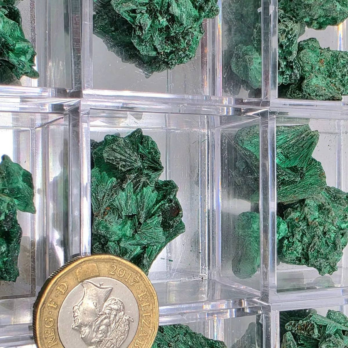 Velvet Malachite Raw In Magnifying Box showcasing vibrant green malachite pieces with a coin for scale.