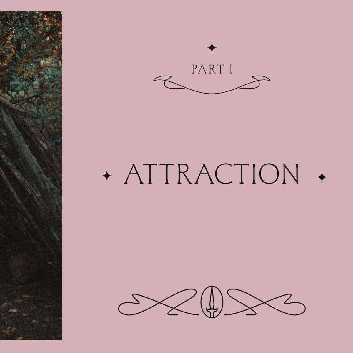 Woman standing in a forest with a pink background and text 'Attraction' on a pink card.