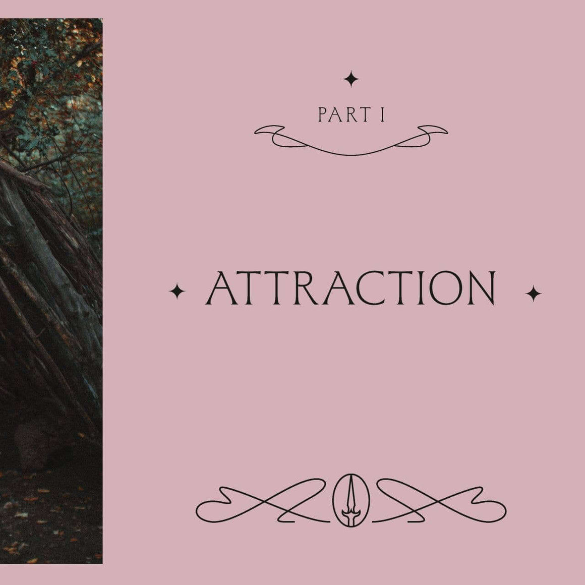 Woman standing in a forest with a pink background and text 'Attraction' on a pink card.