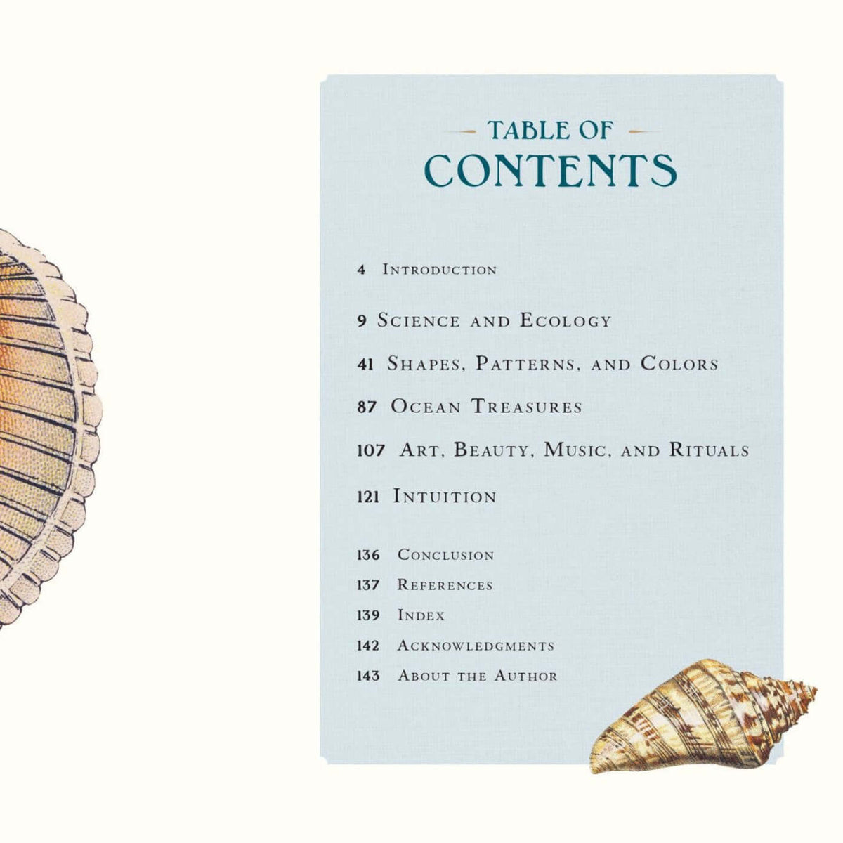 Table of contents page with a shell illustration on a white background