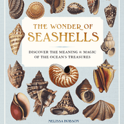 Book cover of 'The Wonder of Seashells' with illustrations of various seashells on a light blue background.