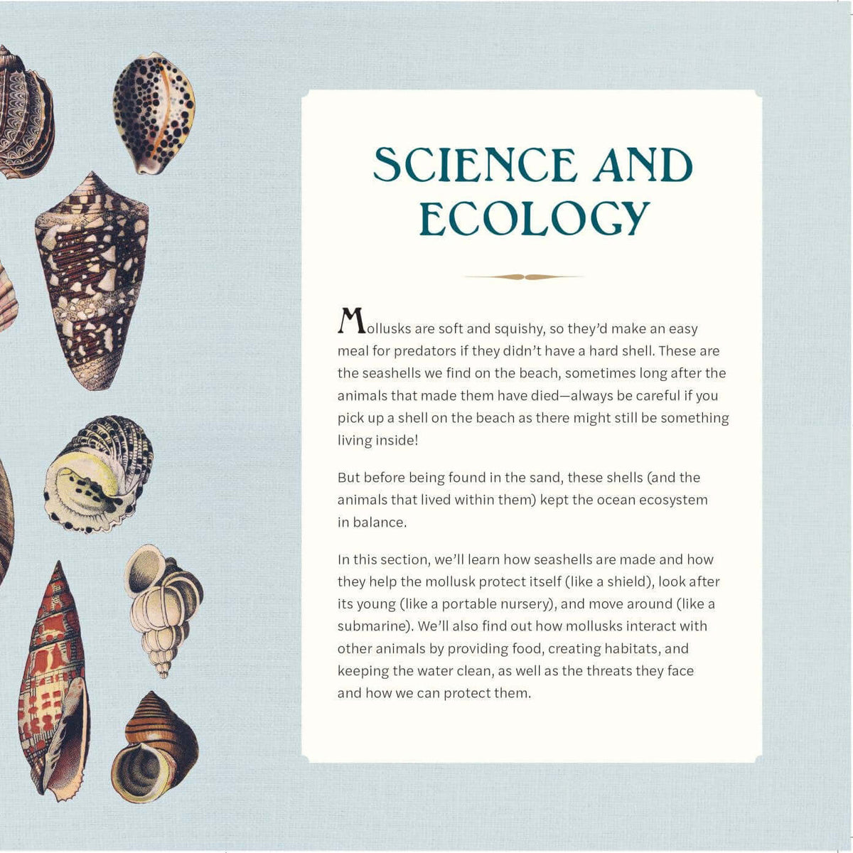 Illustration of various shells on a light blue background with text about science and ecology.