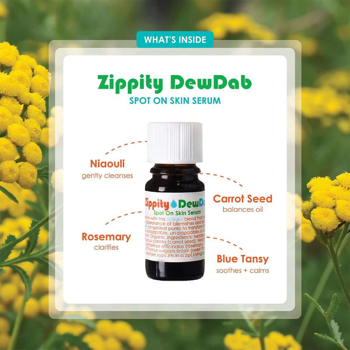 Zippity DewDab - Living Libations
