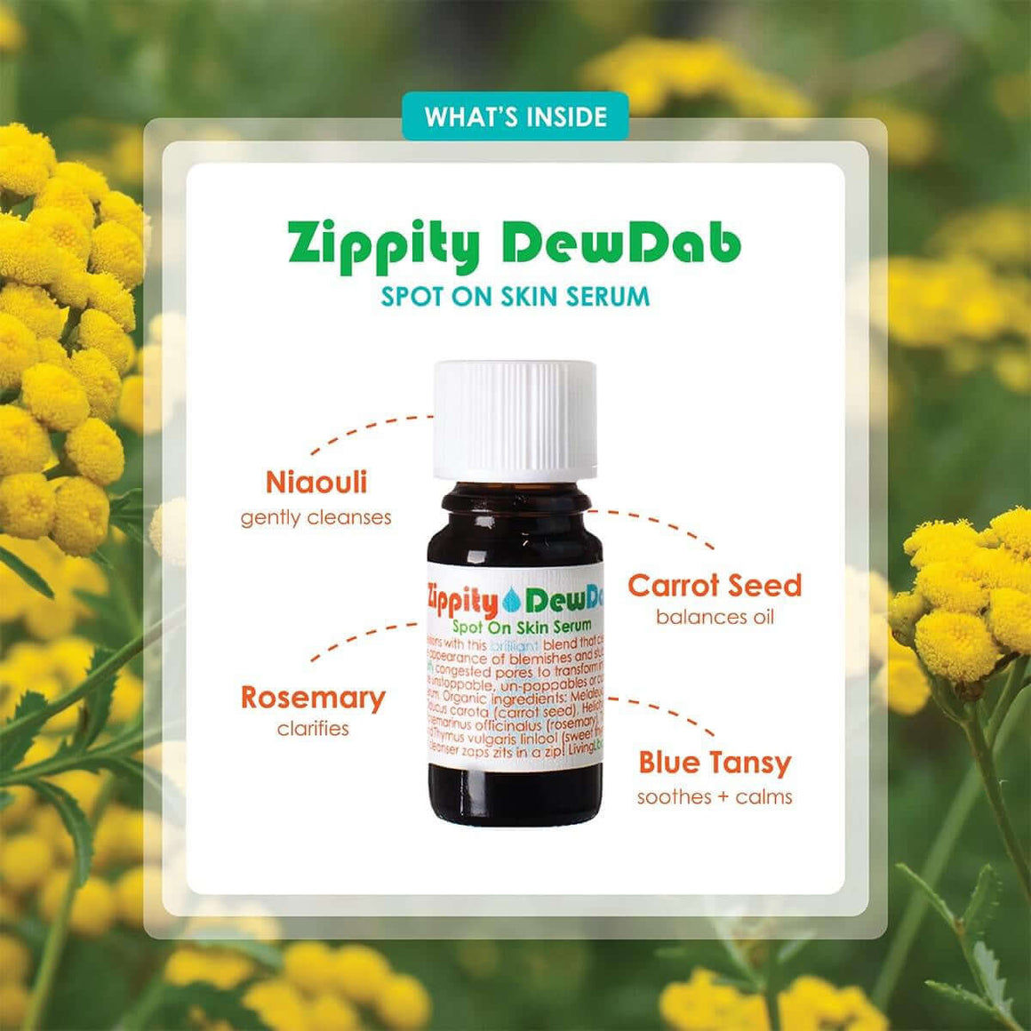 Zippity DewDab - Living Libations