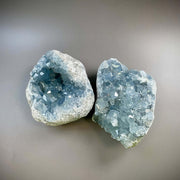 CELESTITE Geodes - Ethically Sourced