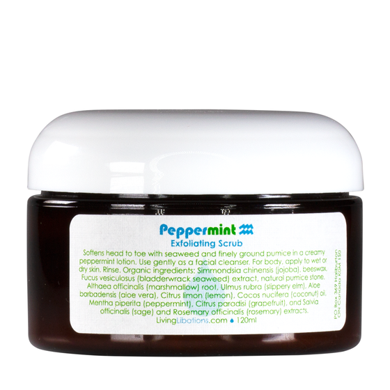 Peppermint Exfoliating Scrub 120ML