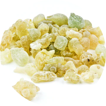 Frankincense Serrata Essential Oil - Living Libations