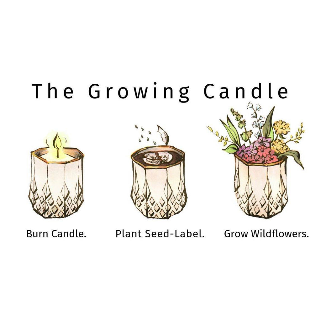 Natural Wax Candle - Hyggelite Growing Candle - Emma