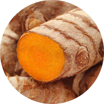 Turmeric Essential Oil - Living Libations