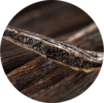 Vanilla Essential Oil - Living Libations